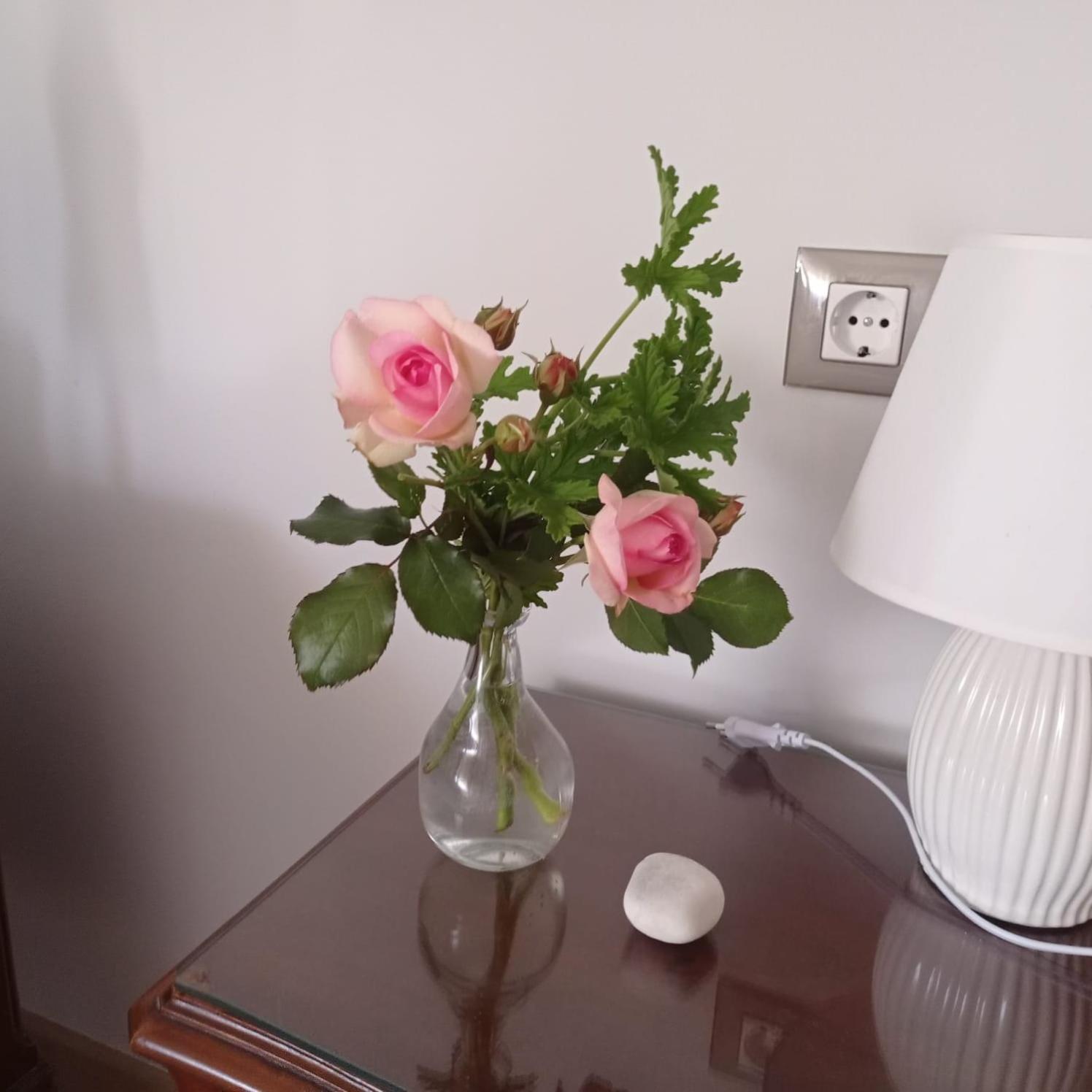 Ponteceso, Mar Y Fer Apartment Екстериор снимка